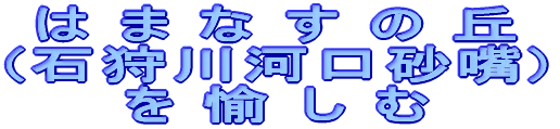 はまなすの丘 (石狩川河口砂嘴) を愉しむ