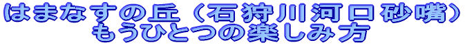 はまなすの丘 (石狩川河口砂嘴) もうひとつの楽しみ方