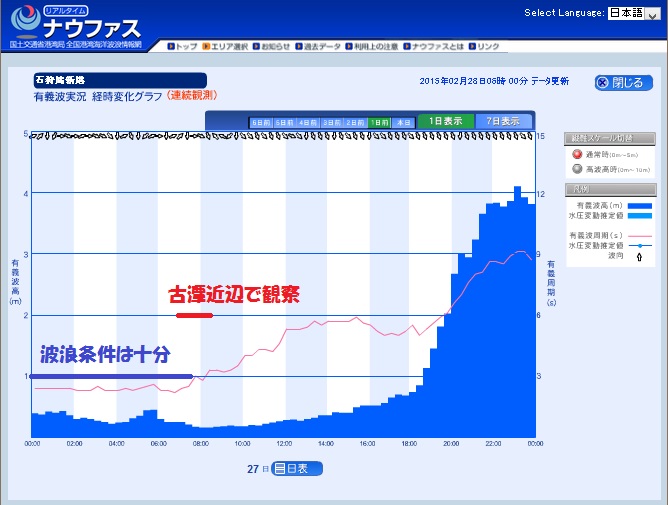 群来・ウォッチング