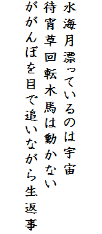 

水海月漂っているのは宇宙
待宵草回転木馬は動かない
ががんぼを目で追いながら生返事
