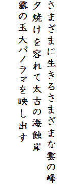 

さまざまに生きるさまざまな雲の峰
夕焼けを容れて太古の海蝕崖
露の玉大パノラマを映し出す
