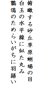 

俯瞰する砂丘草原蜥蜴の目
白玉の水平線に似た丸み
鶺鴒のためらいがちに羽繕い
