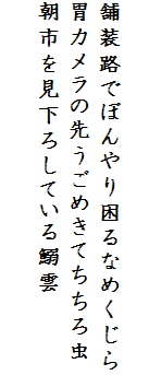 

舗装路でぼんやり困るなめくじら
胃カメラの先うごめきてちちろ虫
朝市を見下ろしている鰯雲
