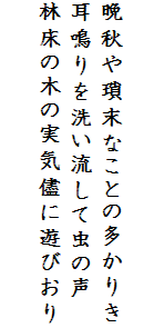 

晩秋や瑣末なことの多かりき
耳鳴りを洗い流して虫の声
林床の木の実気儘に遊びおり
