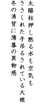 

太陽柱押し黙る水も空気も
ささくれた手吊るされている大根
冬の涛背に薄暮の異物感　
