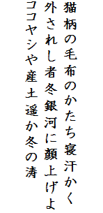 

猫柄の毛布のかたち寝汗かく
外されし者冬銀河に顏上げよ
ココヤシや産土遥か冬の涛　
