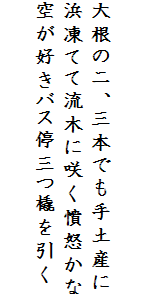 

大根の二、三本でも手土産に
浜凍てて流木に咲く憤怒かな
空が好きバス停三つ橇を引く
