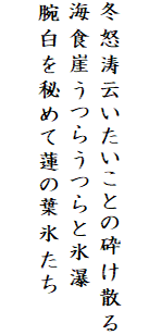 

冬怒涛云いたいことの砕け散る
海食崖うつらうつらと氷瀑
腕白を秘めて蓮の葉氷たち
