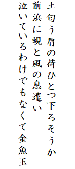 

土匂う肩の荷ひとつ下ろそうか
前浜に蜆と風の息遣い
泣いているわけでもなくて金魚玉
