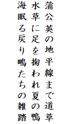 

蒲公英の地平線まで道草
水草に足を掬われ夏の鴨
海眠る戻り鴫たちの雑踏
