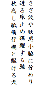 

さざ波や秋思小脇に佇めり
迸る床止め跳躍する鮭
秋高し紙飛行機と駆ける犬
