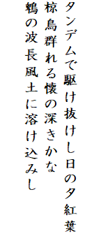 

タンデムで駆け抜けし日の夕紅葉
椋鳥群れる懐の深きかな
鵯の波長風土に溶け込みし
